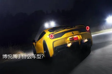博悦属于什么车型？