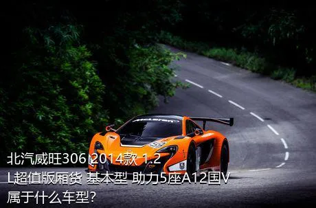 北汽威旺306 2014款 1.2L超值版厢货 基本型 助力5座A12国V属于什么车型？