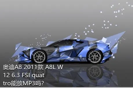 奥迪A8 2011款 A8L W12 6.3 FSI quattro能放MP3吗？