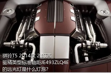 骐铃T5 2014款 2.8T两驱精英型标准轴距JE493ZLQ4E的远光灯是什么灯泡？