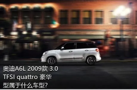 奥迪A6L 2009款 3.0 TFSI quattro 豪华型属于什么车型？