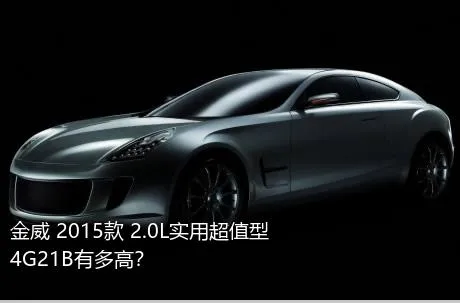 金威 2015款 2.0L实用超值型4G21B有多高？