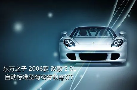 东方之子 2006款 改款 2.0L 自动标准型有没有前雾灯？
