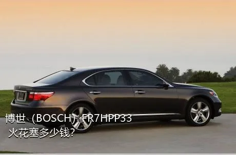 博世（BOSCH）FR7HPP33+火花塞多少钱？