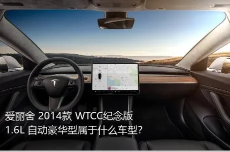 爱丽舍 2014款 WTCC纪念版 1.6L 自动豪华型属于什么车型？