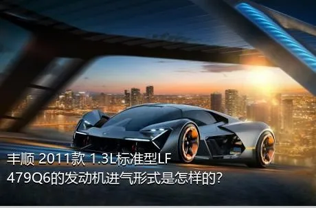 丰顺 2011款 1.3L标准型LF479Q6的发动机进气形式是怎样的？