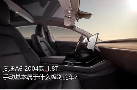 奥迪A6 2004款 1.8T 手动基本属于什么级别的车？