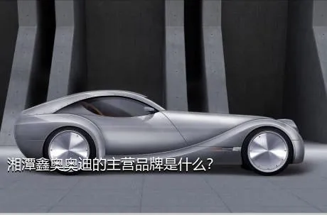湘潭鑫奥奥迪的主营品牌是什么？