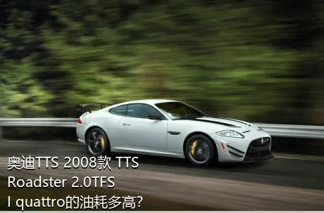奥迪TTS 2008款 TTS Roadster 2.0TFSI quattro的油耗多高？