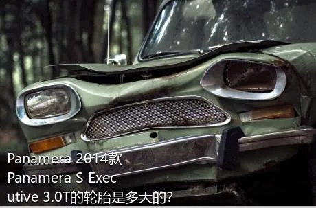 Panamera 2014款 Panamera S Executive 3.0T的轮胎是多大的？