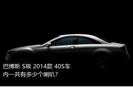 巴博斯 S级 2014款 40S车内一共有多少个喇叭？