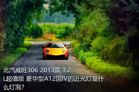 北汽威旺306 2013款 1.2L超值版 豪华型A12国IV的近光灯是什么灯泡？