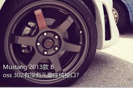 Mustang 2013款 Boss 302有没有儿童座椅接口？