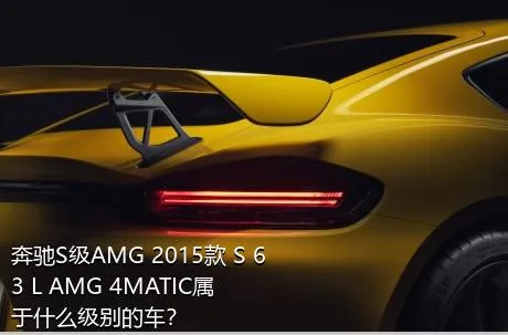 奔驰S级AMG 2015款 S 63 L AMG 4MATIC属于什么级别的车？