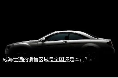 威海世通的销售区域是全国还是本市？
