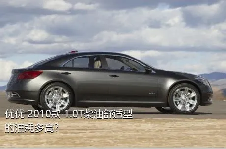 优优 2010款 1.0T柴油舒适型的油耗多高？