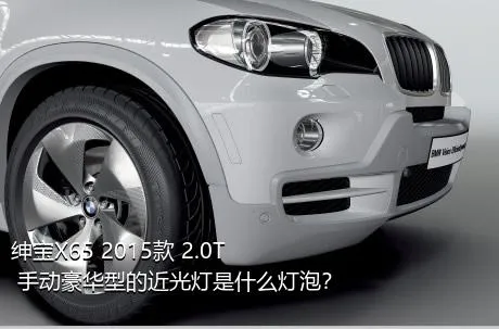 绅宝X65 2015款 2.0T 手动豪华型的近光灯是什么灯泡？