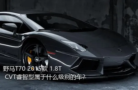 野马T70 2015款 1.8T CVT睿智型属于什么级别的车？