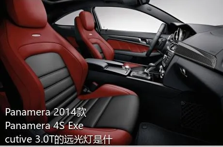 Panamera 2014款 Panamera 4S Executive 3.0T的远光灯是什么灯泡？