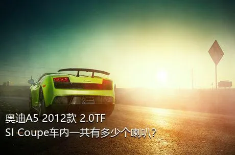 奥迪A5 2012款 2.0TFSI Coupe车内一共有多少个喇叭？