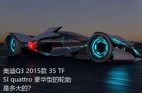 奥迪Q3 2015款 35 TFSI quattro 豪华型的轮胎是多大的？