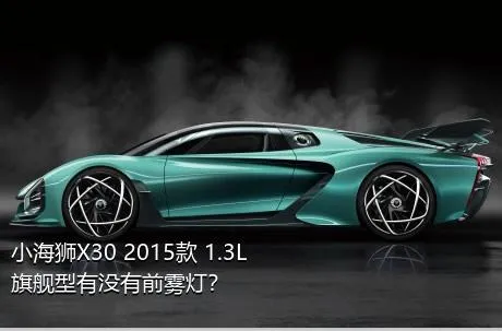 小海狮X30 2015款 1.3L旗舰型有没有前雾灯？