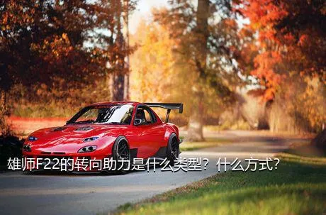 雄师F22的转向助力是什么类型？什么方式？