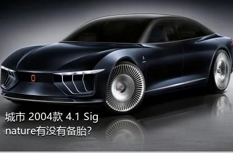城市 2004款 4.1 Signature有没有备胎？