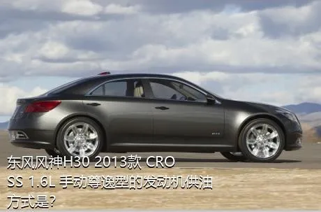东风风神H30 2013款 CROSS 1.6L 手动尊逸型的发动机供油方式是？