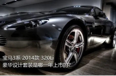 宝马3系 2014款 320Li 豪华设计套装是哪一年上市的？
