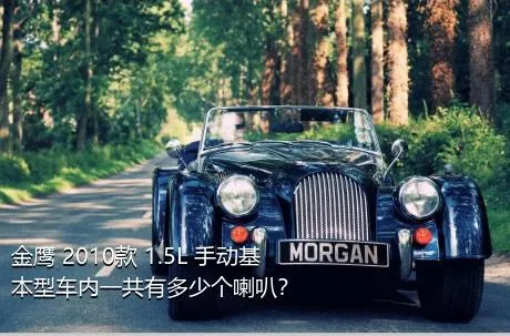 金鹰 2010款 1.5L 手动基本型车内一共有多少个喇叭？