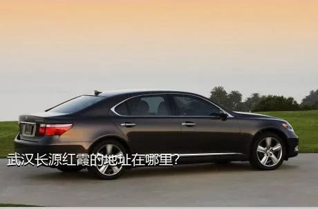 武汉长源红霞的地址在哪里？