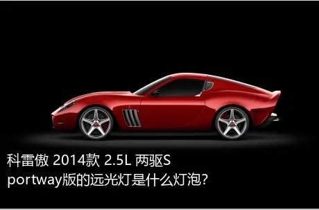 科雷傲 2014款 2.5L 两驱Sportway版的远光灯是什么灯泡？