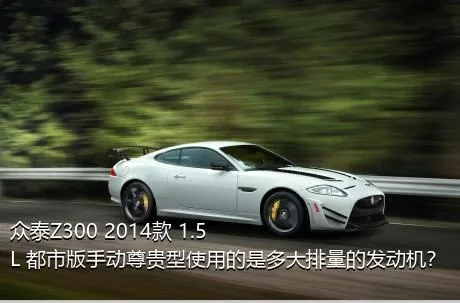众泰Z300 2014款 1.5L 都市版手动尊贵型使用的是多大排量的发动机？