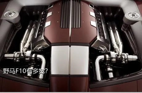 野马F10有多宽？