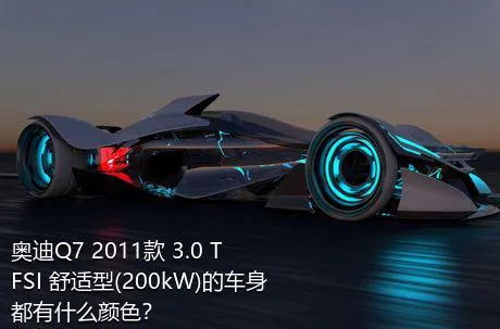 奥迪Q7 2011款 3.0 TFSI 舒适型(200kW)的车身都有什么颜色？