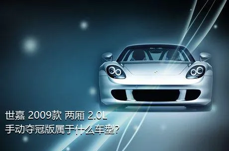 世嘉 2009款 两厢 2.0L 手动夺冠版属于什么车型？