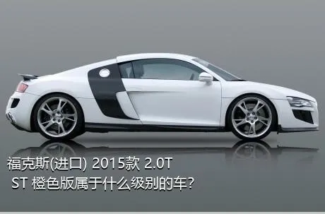 福克斯(进口) 2015款 2.0T ST 橙色版属于什么级别的车？