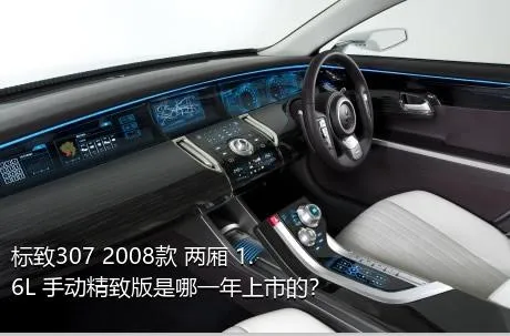 标致307 2008款 两厢 1.6L 手动精致版是哪一年上市的？