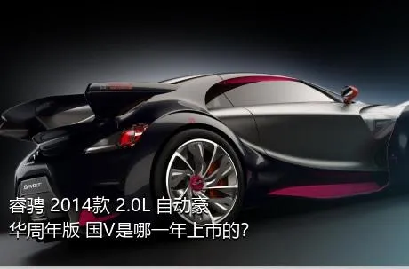 睿骋 2014款 2.0L 自动豪华周年版 国V是哪一年上市的？