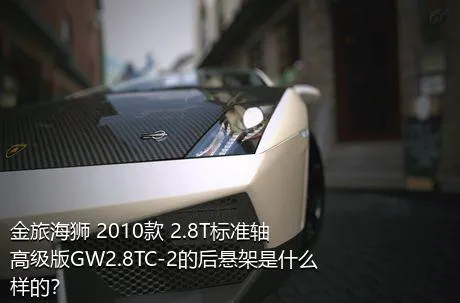 金旅海狮 2010款 2.8T标准轴高级版GW2.8TC-2的后悬架是什么样的？