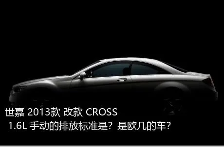 世嘉 2013款 改款 CROSS 1.6L 手动的排放标准是？是欧几的车？