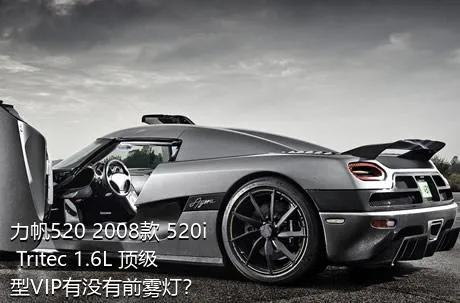 力帆520 2008款 520i Tritec 1.6L 顶级型VIP有没有前雾灯？