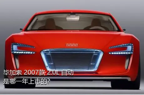 毕加索 2007款 2.0L 自动是哪一年上市的？