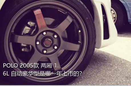 POLO 2005款 两厢 1.6L 自动豪华型是哪一年上市的？