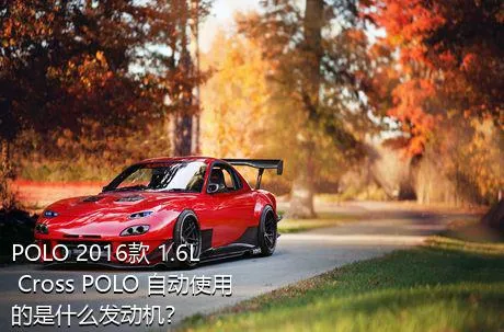 POLO 2016款 1.6L Cross POLO 自动使用的是什么发动机？