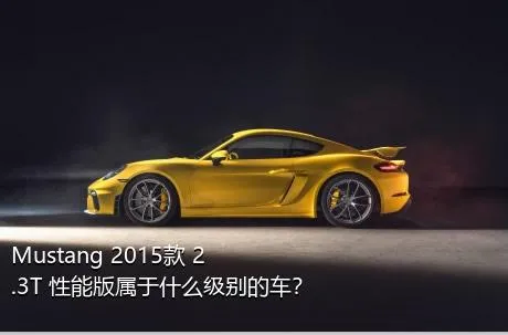 Mustang 2015款 2.3T 性能版属于什么级别的车？