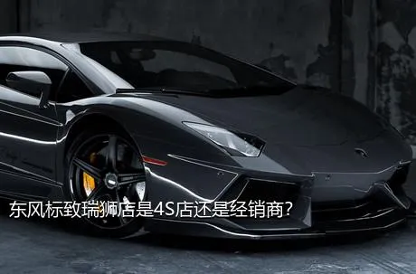 东风标致瑞狮店是4S店还是经销商？
