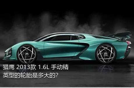 猎鹰 2013款 1.6L 手动精英型的轮胎是多大的？