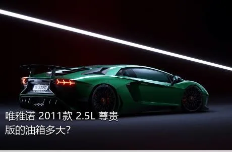 唯雅诺 2011款 2.5L 尊贵版的油箱多大？